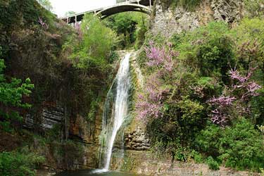 Tbilisi National Botanical Garden