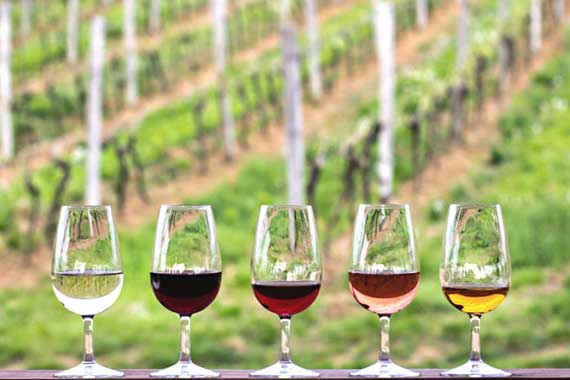 Wine tasting at Why Me Tbilisi